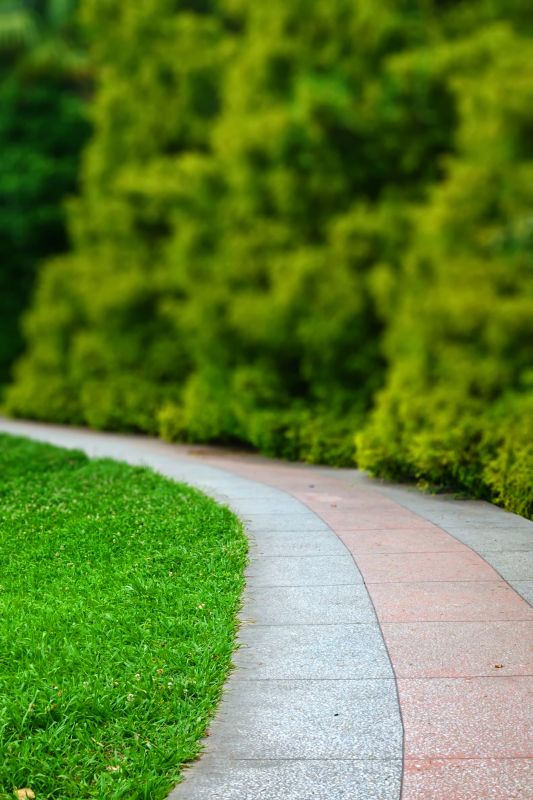 Paver Walkway Service