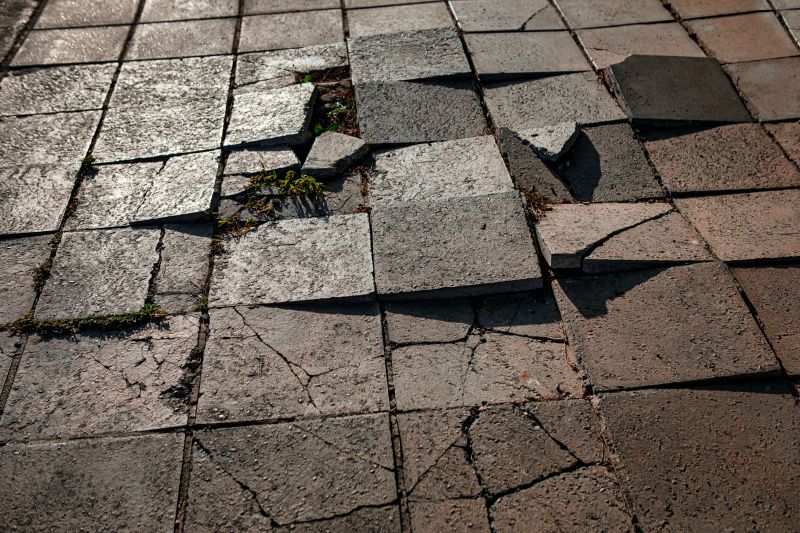 Paver Repair and Maintenance